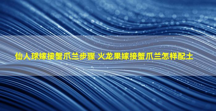 仙人球嫁接蟹爪兰步骤 火龙果嫁接蟹爪兰怎样配土